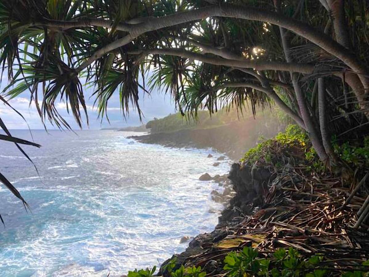Seaside House And Aloha Bungalow Pahoa Eksteriør billede