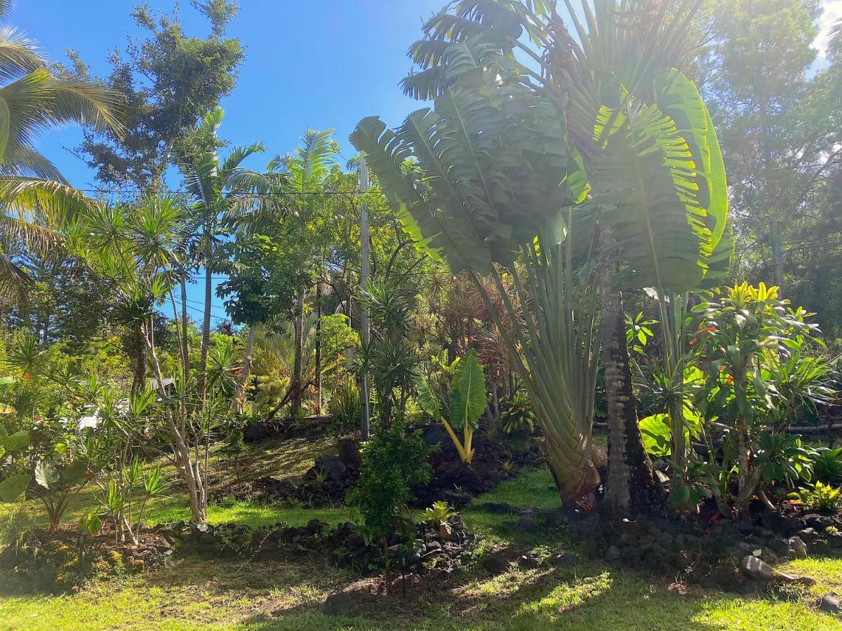 Seaside House And Aloha Bungalow Pahoa Eksteriør billede