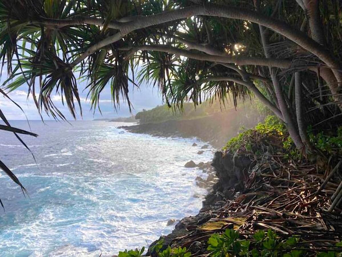 Seaside House And Aloha Bungalow Pahoa Eksteriør billede